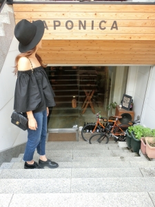 japonica