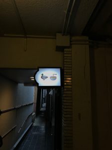 ダックヌードル